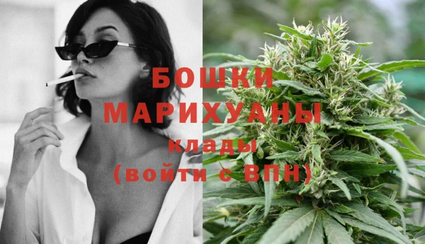 PSILOCYBIN Аркадак