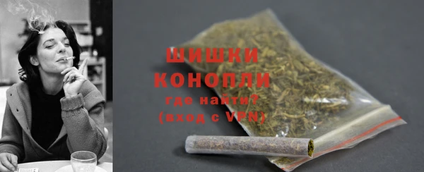 PSILOCYBIN Аркадак
