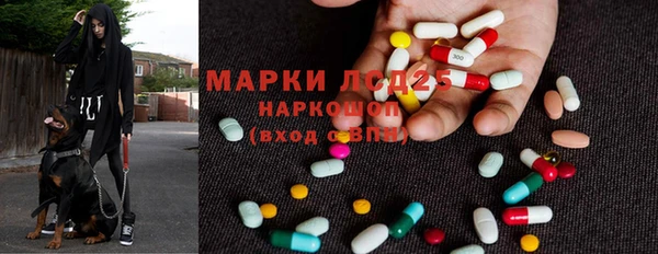 PSILOCYBIN Арсеньев
