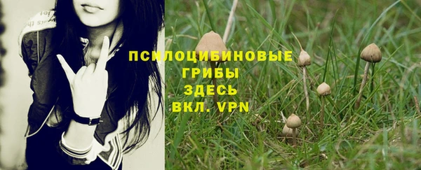 бошки Армянск